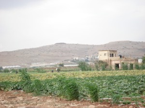 Palestinians farming in 1948